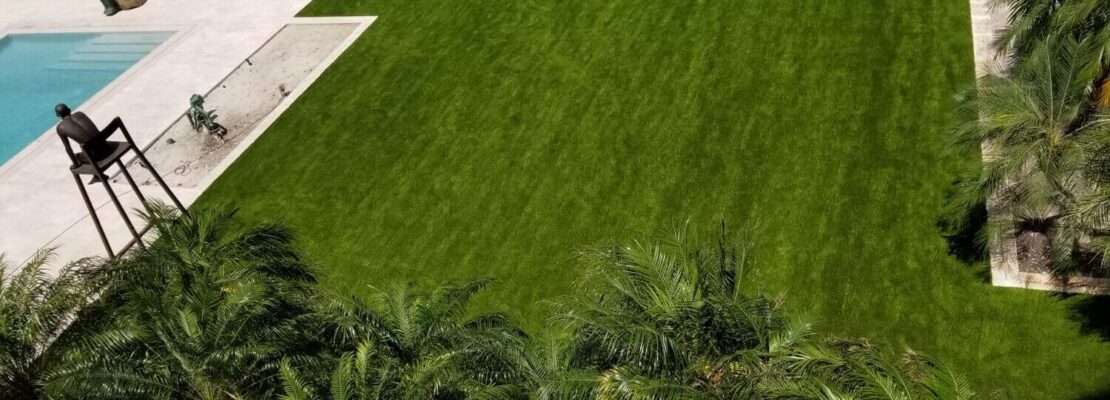 West Palm Beach-Synthetic Turf Team of Wellington